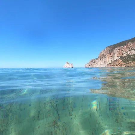 Gasthof Open Space Rose 4*