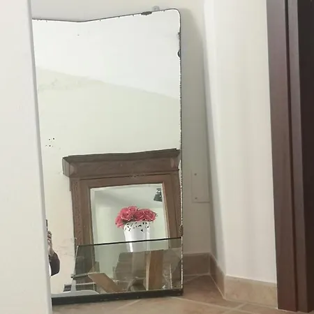 Open Space Rose Гостевой дом 4*