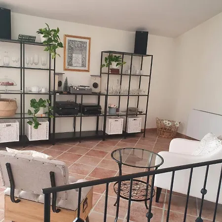 Open Space Rose Iglesias