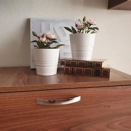 Open Space Rose 4* Iglesias