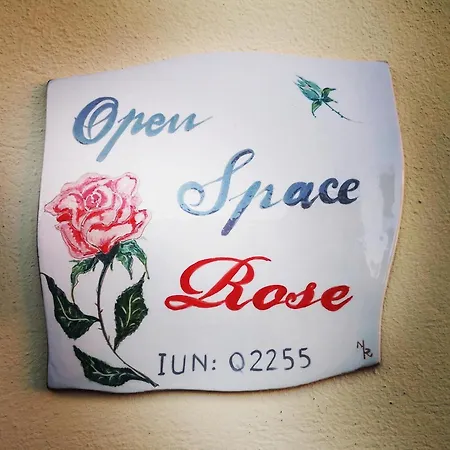Open Space Rose * Iglesias