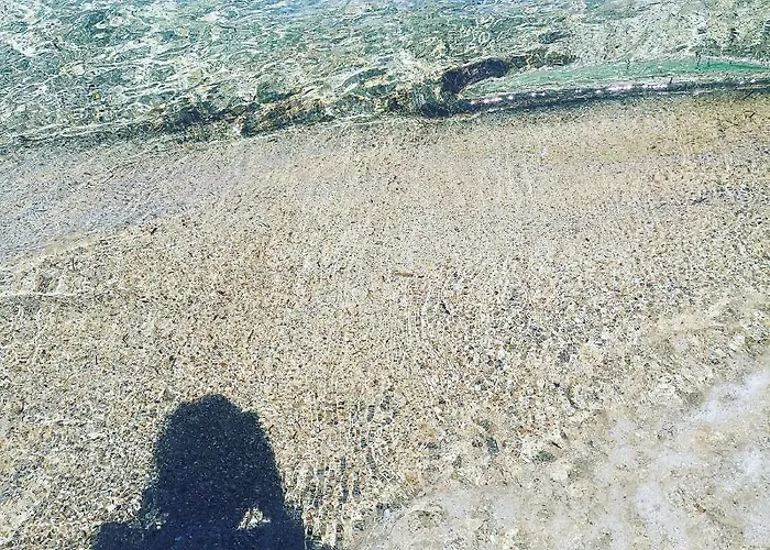 Pensión Open Space Rose