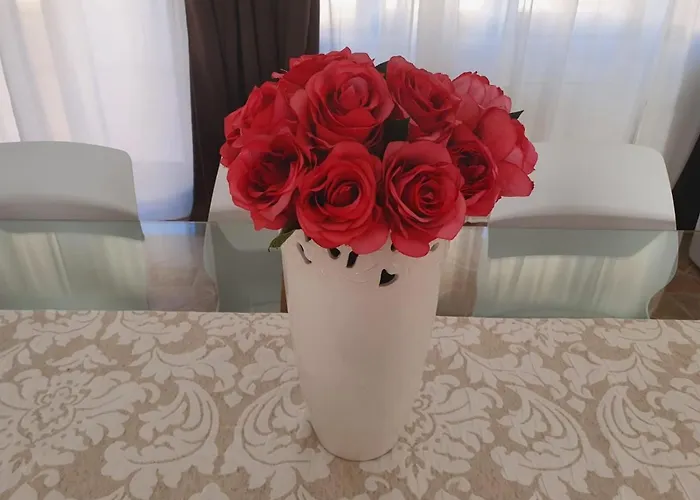 Pensión Open Space Rose