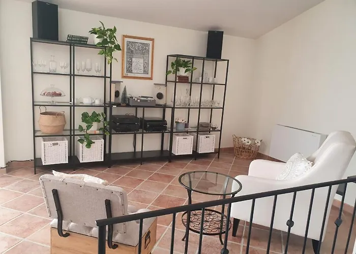 Open Space Rose Iglesias